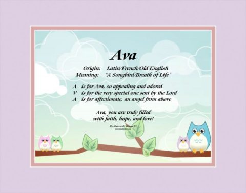 The name Ava shown on LindseyBoo Baby Owls background with lavender and pink mats