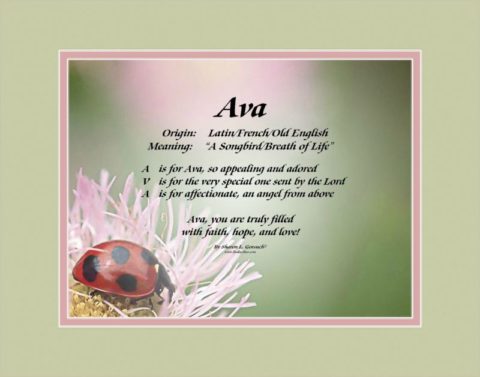 Meaning of the name Ava Shown on our Lady Bug background with Sage and Pink mats