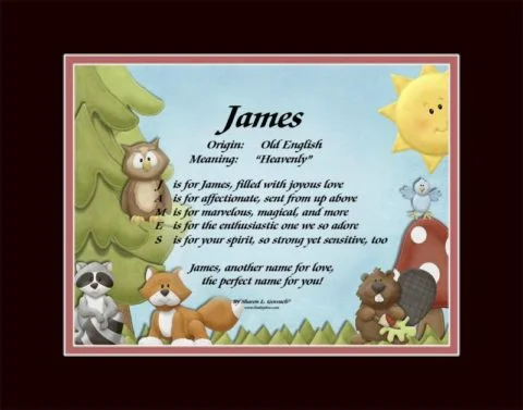 Meaning of the name James shown on LindseyBoo Baby Woodland Creatures background with Black and Red mats