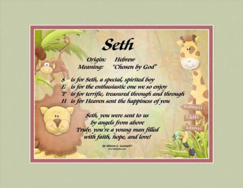 Meaning of the name Seth on the LindseyBoo Jungle Babies background