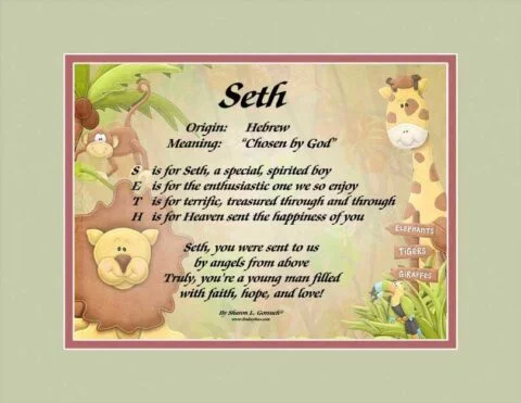 Meaning of the name Seth on the LindseyBoo Jungle Babies background