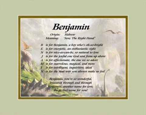 Meaning of the name Benjamin on the LindseyBoo dinosaur background